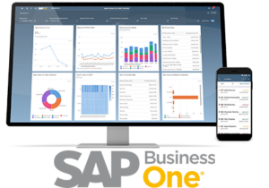 sap expert services Be one solutions Business SAP One