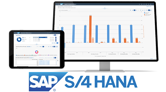 sap global rollout Be one solutions SAP S/4 HANA
