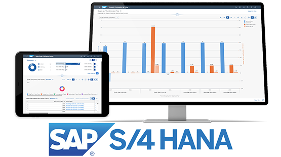 Be one solutions SAP S/4 HANA