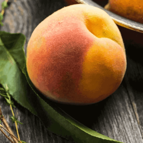 peach pitcure