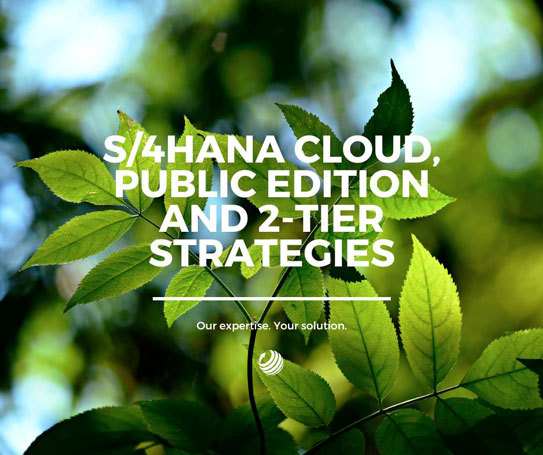 SAP S/4HANA Cloud and 2-tier strategies