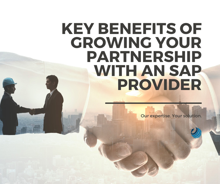 SAP Provider Partnership blog