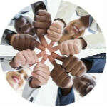 Our values values
