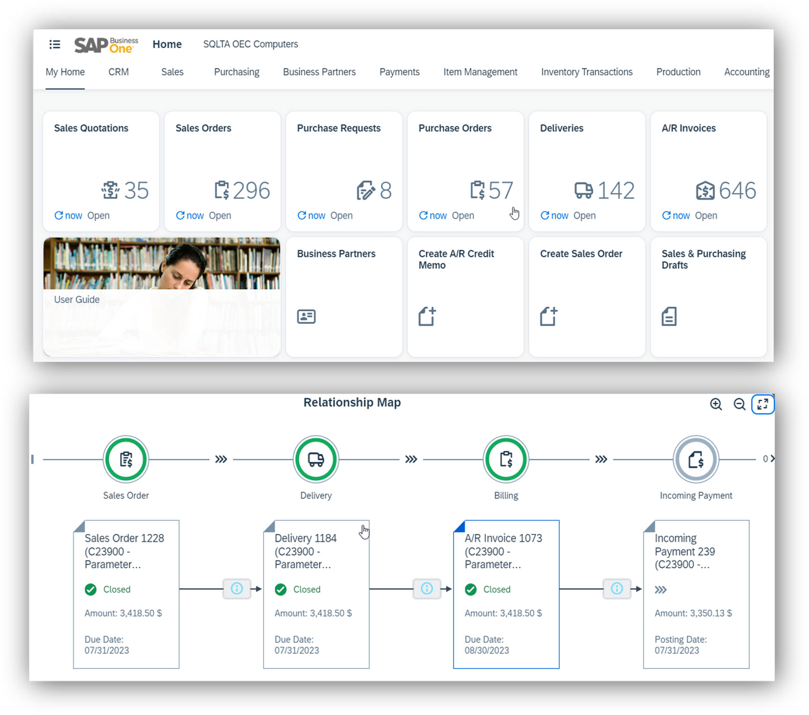 SAP business one web client