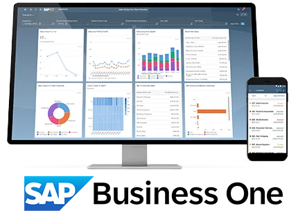 global rollout SAP Business One